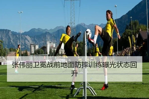 张伟丽卫冕战前地面防摔训练曝光状态回升（hth）